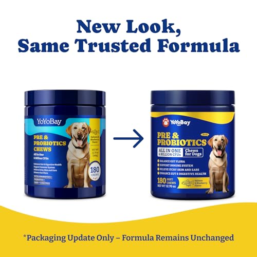 Image of Probiotics for Dogs - Dog Probiotics for Gut, Immune & Skin Health - 6 Billion CFUs, 180 Soft Chews, Salmon & Blueberry Flavor - with Prebiotics & Digestive Enzymes