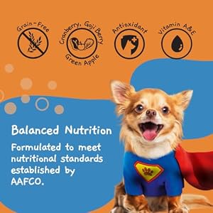 MOOCHIE Grain Free Moist Canine Meals for Small Breed - Enhance Immune - Duck with Cranberry, Goji Berry and Inexperienced Apple - No Added Preservatives or Synthetic Flavoring - 3 oz x 12 Pouches MOOCHIE Grain Free Moist Canine Meals for Small Breed – Enhance Immune – Duck with Cranberry, Goji Berry and Inexperienced Apple – No Added Preservatives or Synthetic Flavoring – 3 oz x 12 Pouches