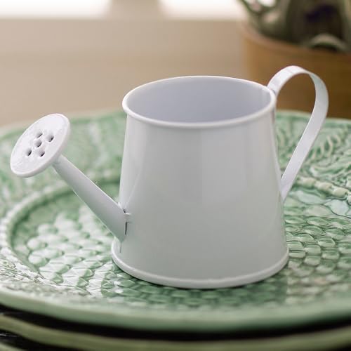 Fun Express Mini Watering Can Tabletop Decorations - 12 Pieces - Great for Spring and Garden Home Decor, Weddings and Other Table Centerpieces