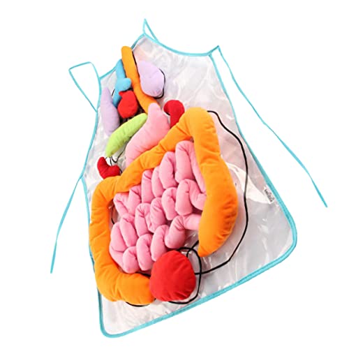 Gogogmee 1 Set Human Viscera Apron Physiological Toy Anatomical Apron Preschool Learning Toys Anatomy Organ Molds Body Organ Aprons Anatomy Posters Kid Toy Human Body Polyester Childhood 3d