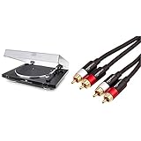 Produkt 2: 2 x Cinch-Stecker (links und rechts) für die Audio-Ausgabe und 2 x Cinch-Stecker für Audio-Eingänge; das Eingangssignal kann ein Signal hoher Frequenz (digitales Audiosignal) oder niedriger Frequenz (Subwoofer) sein