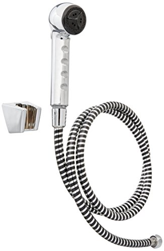Image of AS150C Shower Head