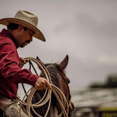 Pedro Torres, Owner Cavvietta Quarter Horse and Cattle Company, horseman