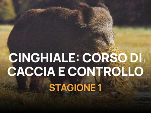  Cinghiale: corso di caccia e controllo