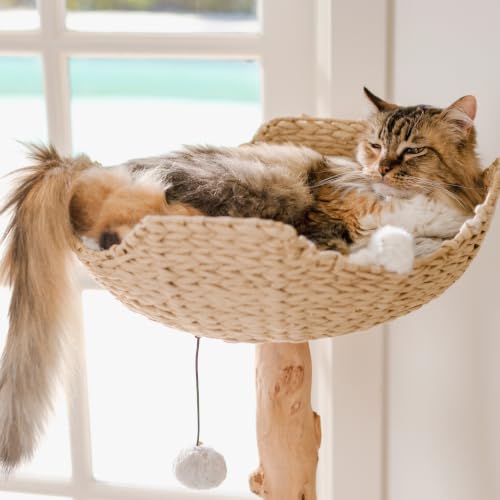 Image of Mau - Modern Wood Cat Tree Tower with Scratching Post, Aesthetic Cat Condo
