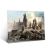 Displate Offiziell Harry Potter MetallPoster Magnetische 