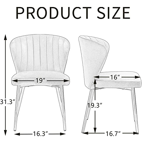 Anour Modern Dining Chairs, Velvet Accent Chair, Living Room Chairs, Set Of 2, Upholstered Side Chair With Golden Metal Legs For Dining Room Kitchen Vanity Patio (White, 2 Pack) #TOP2