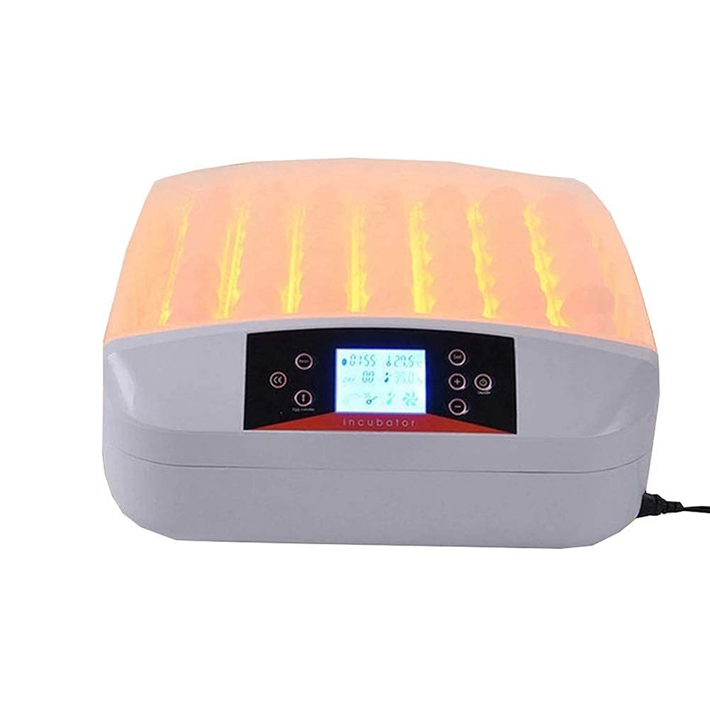 Couveuse automatique 32 œufs transparente pour observer l'éclosion des poussins en famille