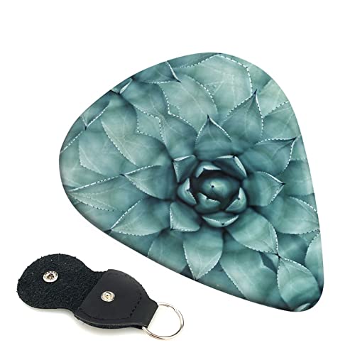Succulent Plant Lot de 6 médiators pour guitare acoustique, guitare électrique, basse, ukulélé – fin, moyen et épais. - Les Beatles, Paul McCartney, John Lennon, RIngo Starr, George Harrison Succulent Plant Lot de 6 médiators pour guitare acoustique, guitare électrique, basse, ukulélé – fin, moyen et épais.