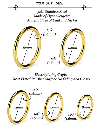 Vsnnsns 14G 16G Septum Nose Rings Hoops Lip Ring Piercing Jewelry 316L Surgical Steel Hinged Segment Clicker Cartilage Tragus Helix Conch Rook Daith Lobe Earrings Hoops Piercing Jewelry for Women Men2