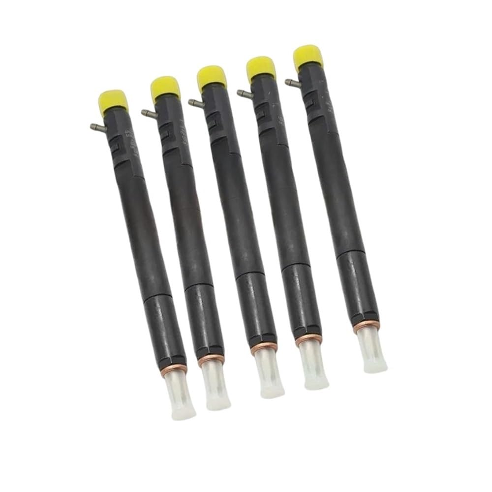 Fuel Injectors 5PCS EJBR04601D EJBR04701D EJBR04401D EJBR02601Z EJBR04501D EJBR03401D for Delphi for SsangYong Diesel Fuel Injector