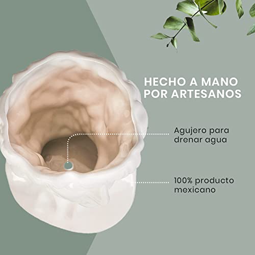 La Mejor comparativa de Macetas mexico favoritos de las personas. 21 Imagen adicional