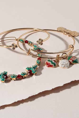Alex and Ani Holiday Ornament Charm Bangle4