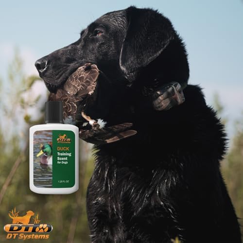 DT Systems Super Pro Series Training Scents, Natural Real Concentrated Hunting Retriever Dog Field Game Trailing Scent Training Aid for Puppies, Adult & Senior Dogs, 1.25 oz