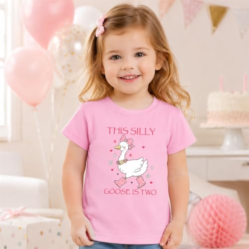 Image of Toddler Girls 2nd Birthday Shirt Outfit for Girls Cute Two Years Old Birthday Gift