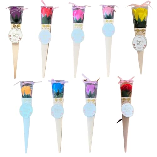 L[t(Q-FLA) \[vt[ 1 kelee u[P ԑ 9F×3Zbg Mtg a  834219