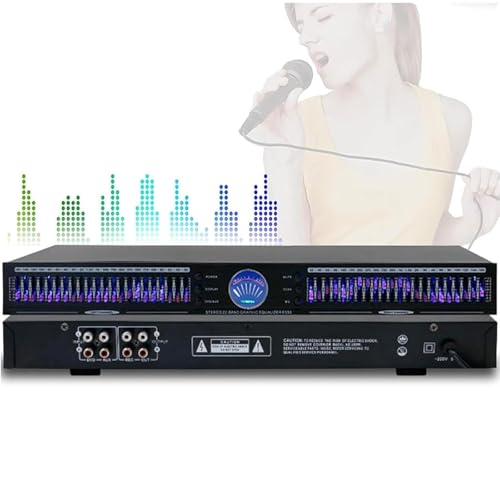 Égaliseur audio 22 bandes double canal pour réduction du bruit en studio