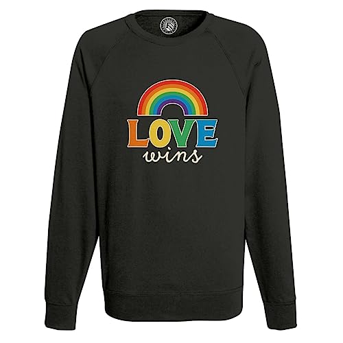 Sweat Homme Love Wins Idée Cadeau Idéal Fierté Arc-en-Ciel