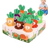 Juguete de cultivo de zanahorias – Juguete relleno de zanahoria – Juego de cosecha de zanahorias | Sensory Box Juego de rompecabezas para 1 – 3 años de edad, regalo de cosecha de zanahoria