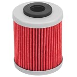 AHL Oil Filter 59038046000 59038046100 Compatible With 660 SMC1st Filter 2004-2005/690 2008-2011 R