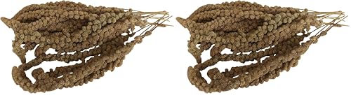 Aimé | Mijo en Rama para Pájaros Domésticos 250g | 100% Natural | Golosinas Evita Aburrimiento y Ansiedad | Producción Francesa | Comida en Racimos y Semillas