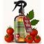 TOMATO Fertilizer Spray