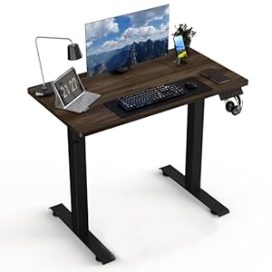 35 * 20 Electric Standing Desk, Adjustable Height Sit Stand Up Desk, Motorized Home Office Computer Gaming Workstation Desk