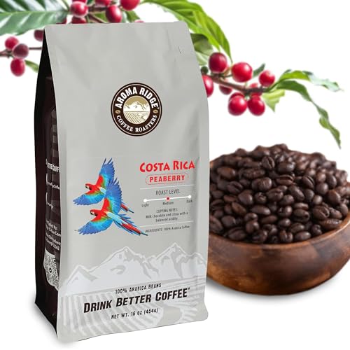 Costa Rica Peaberry| Whole Bean Coffee by Aroma Ridge | 16oz Medium Roast Gourmet Coffee Beans | Full Bodied Roasted Coffee Beans With Fruity Floral Notes