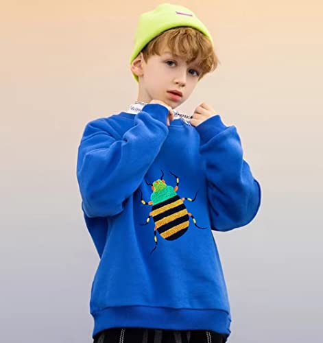 Frogwill Toddler Boys Sweatshirt Cotton Alpine Beetle Applique Crewneck Fall Sweatshirt 5T, Beetle #TOP7