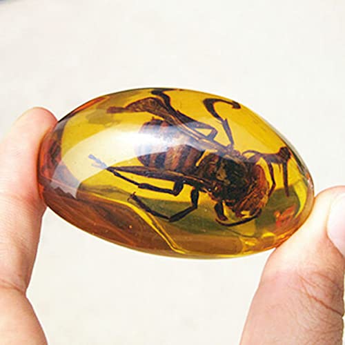 Image of Acxico 2Pcs Beautiful Amber Hornet Fossil Insects Manual Polishing