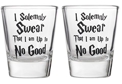 No Good Shot Glass Shotglasses (2)