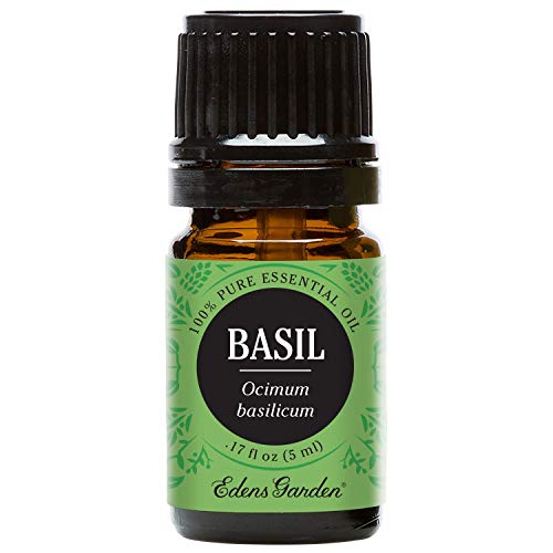 Edens Garden Basil Essential Oil, 100% Pure Therapeutic Grade (Pain & Sleep) 5 ml Edens Garden Basil Essential Oil, 100% Pure Therapeutic Grade (Pain & Sleep) 5 ml