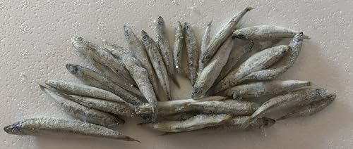 Gefrorene Stinte 2kg – Frostfutter für Raubfische, Reptilien, Katzen & Schildkröten – Fischfrostfutter lose geschüttet – Einzeln entnehmbar – Barf geeignet – Angelköder