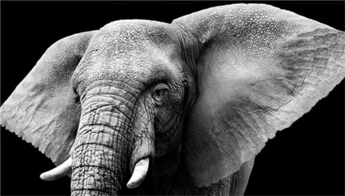 Diamond Painting Éléphant 5D Kit Complet 60x180cm pour Broderie Diamant DIY et Décoration Murale