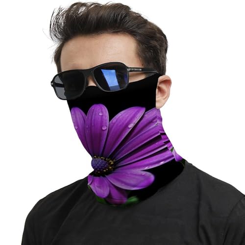 Neck Gaiter Purple Daisy Face Mask for Travel Face Cover Scarf for Men Women Elastic Headbands Wind-proof Bandana for Skiing Fishing Hiking Cycling2