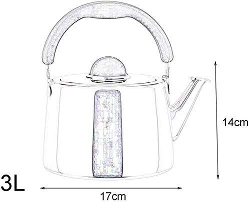 Teapot en acier inoxydable SHISHI 3L pour induction et gaz - 2