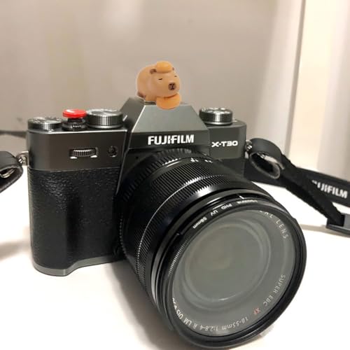 Image of Camera Hot Shoe Cover, Cute Hot Shoe Cap, Hot Shoe Protector Compatible with Sony Fujifilm Fuji Canon Nikon Pentax Leical Panasonic (2pcs Capybara)