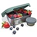 Stainless Steel Food Container & Condiment Holder | Leak Proof Silicone Lid | Metal Lunch Box | Bento Box | Portion Control Snacks Dressings [2 PCS Set/Green]