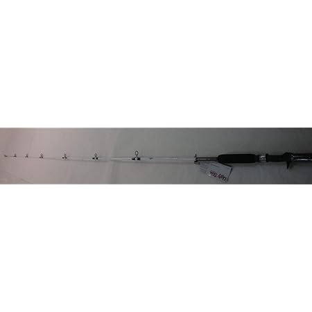 shakespeare ugly stik striper casting rod