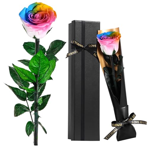 Touloube Rosa Eterna Natural Preservada, Ideas Regalos Mujer para Mama Novia Abuela Hermana Amiga Esposa, Regalo Aniversario Cumpleaños Navidad Mujer, Te Amo Regalo, San Valentín, Arcoíris
