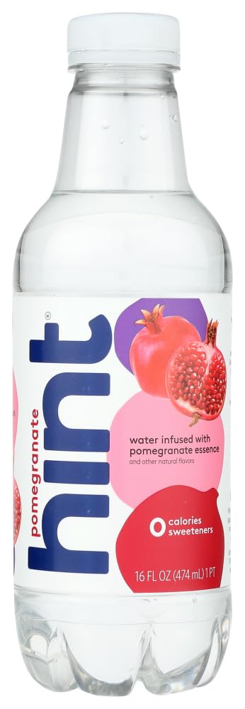 Hint Fizz, Raspberry Lime, 16 Fl Oz
