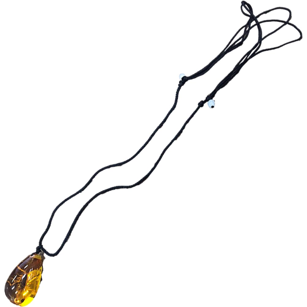 Insect Stone Natural Scorpions Inclusion Amber Baltic Pendant Necklace Home Decorative Stone Wedding Party Travel Gift