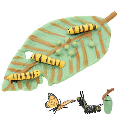 Higiene Bucal Y Dental, Drugstore Imagen adicional