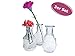 Produktbild itsisa Glasvase New Vintage, Klarglas Vase, H: 14 cm, 3er Set - schöne, kleine Vase zur Tischdekoration