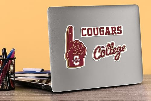 Image of College of Charleston 11ct Vinyl Large Deluxe Stickers Variety Pack - Laptop, Water Bottle, Scrapbooking, Tablet, Skateboard, Indoor /Outdoor - Set of 11