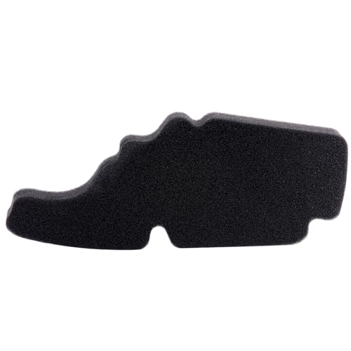 AHL Motocicleta 843194 Filtro de Aire compatible con VESPA Primavera 125 / PIAGGIO FLY 125/ TYPHOON 125 / Typhoon 50 4 Stroke/LIBERTY 125 / APRILIA Sportcity 50 125 SR50 Motard
