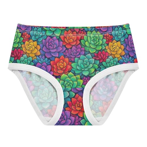 Joisal Cotton Girls Underwear Toddler Colorful Succulent Plants Panties Little Girl Cartoon Briefs Girls Undies 2t