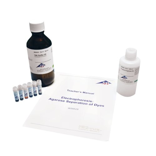 3B Scientific W56628 Electrophoresis Agarose Gel Separation of Dyes Kit