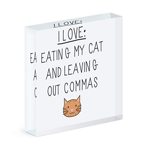 Cadre photo acrylique transparent bloc décoratif message chat rigolo