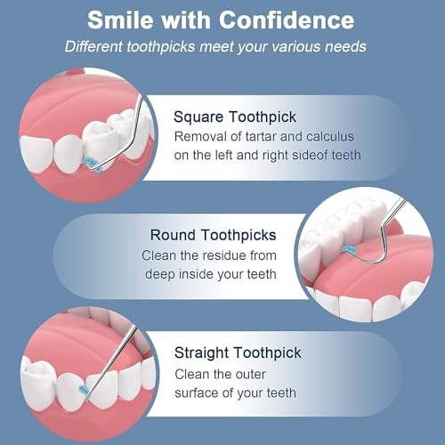 7-in-1 Teeth Braces Cleaner Tools Kit,Dental Floss Toothpicks Set with Aluminum Tube- Dental Tools Reusable Toothpicks Teeth Braces Cleaning Tools Kit for Outdoor Camping Traveling